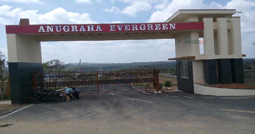 Anugraha Evergreen Cover Image